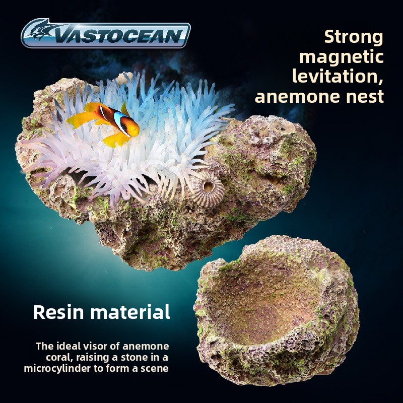 Aquarium Marine Rock - VASTOCEAN Soporte magnético para anémona, nido