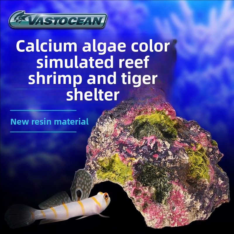 Marine Aquarium Hermit Crab - VASTOCEAN Acuario de agua salada Cueva-Reef