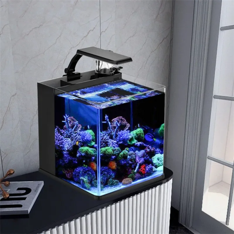 Marine Aquarium Tank For Sale - Acuario Marino de Agua Salada Mini