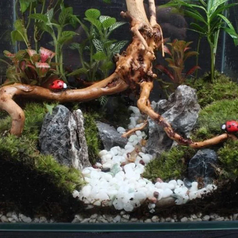 Tronco de árbol Natural de mad - Aquarium Marine Rock reseña y precio