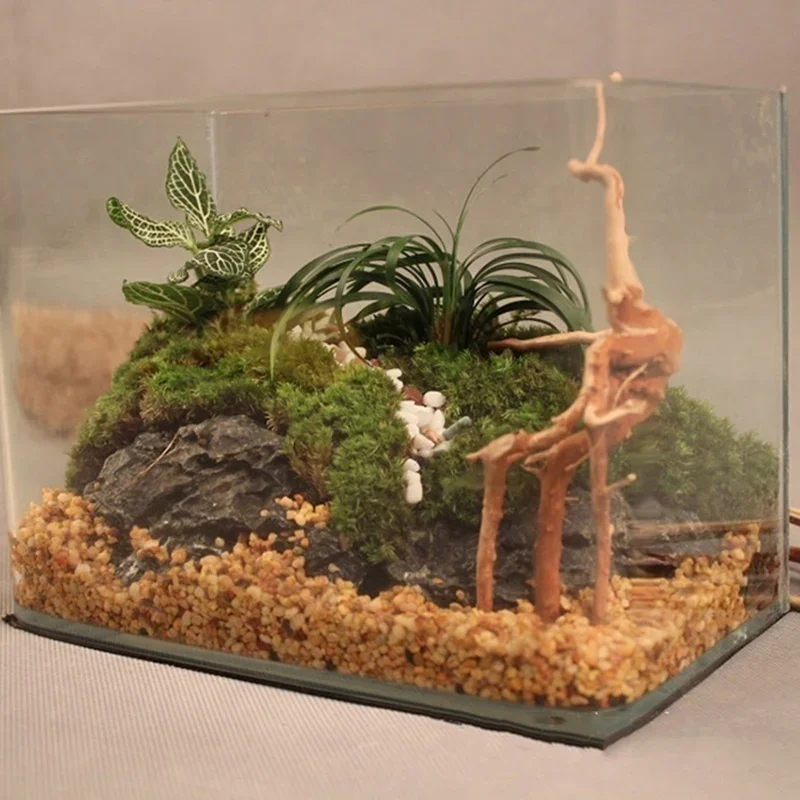 Tronco de árbol Natural de mad - Aquarium Marine Rock reseña y precio