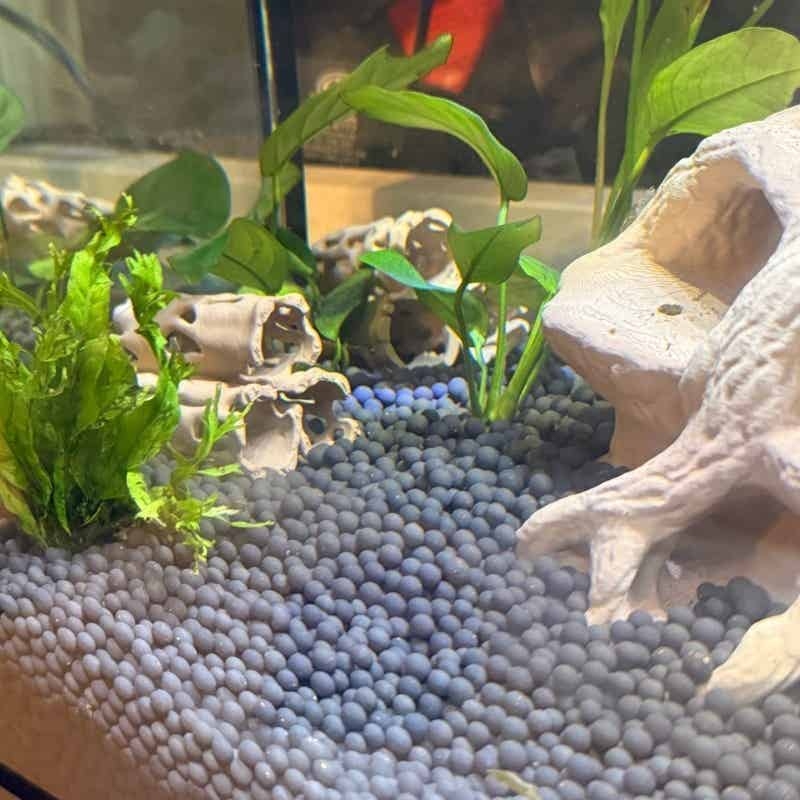 Decoración para Acuario, Tronc - Aquarium Marine Rock reseña y precio
