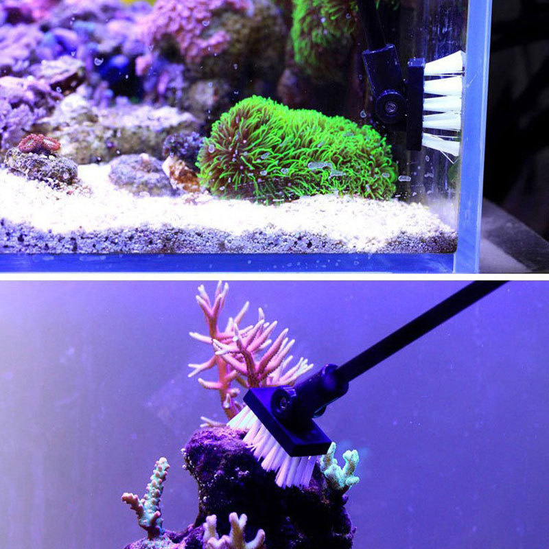 Cepillo de limpieza de pesca,  - Marine Aquarium Glass Cleaner reseña y precio