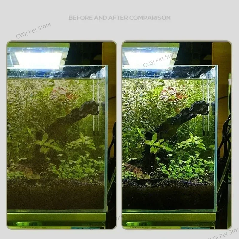 Herramienta de limpieza de pec - Marine Aquarium Glass Cleaner reseña y precio