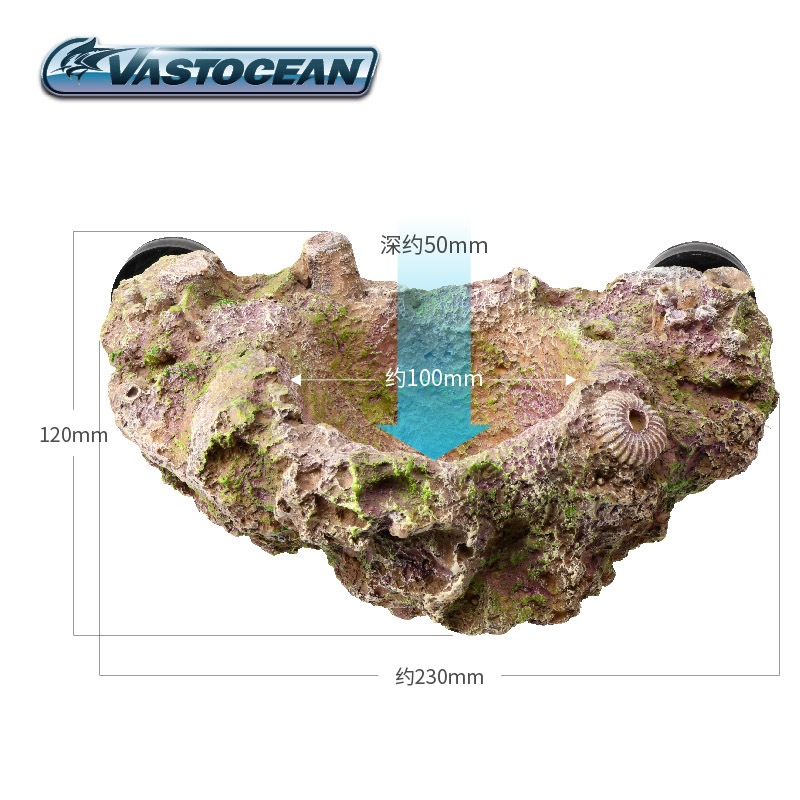 VASTOCEAN Soporte magnético pa - Aquarium Marine Rock reseña y precio