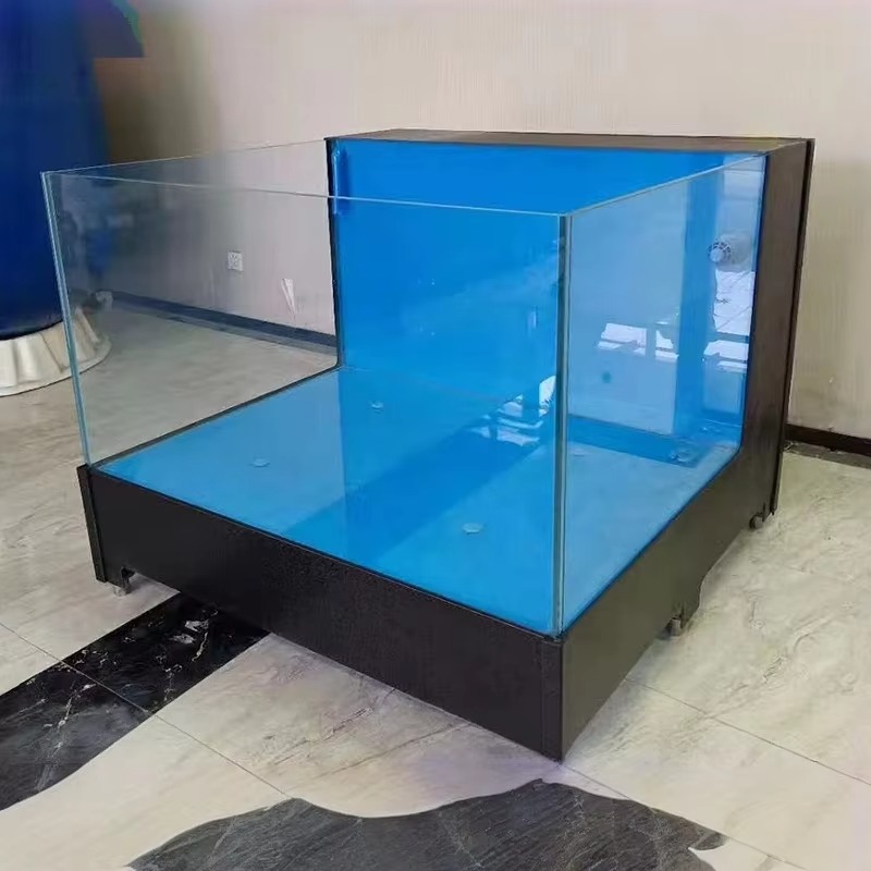 Acuario Cuadrado de Vidrio par - Marine Aquarium All In One reseña y precio