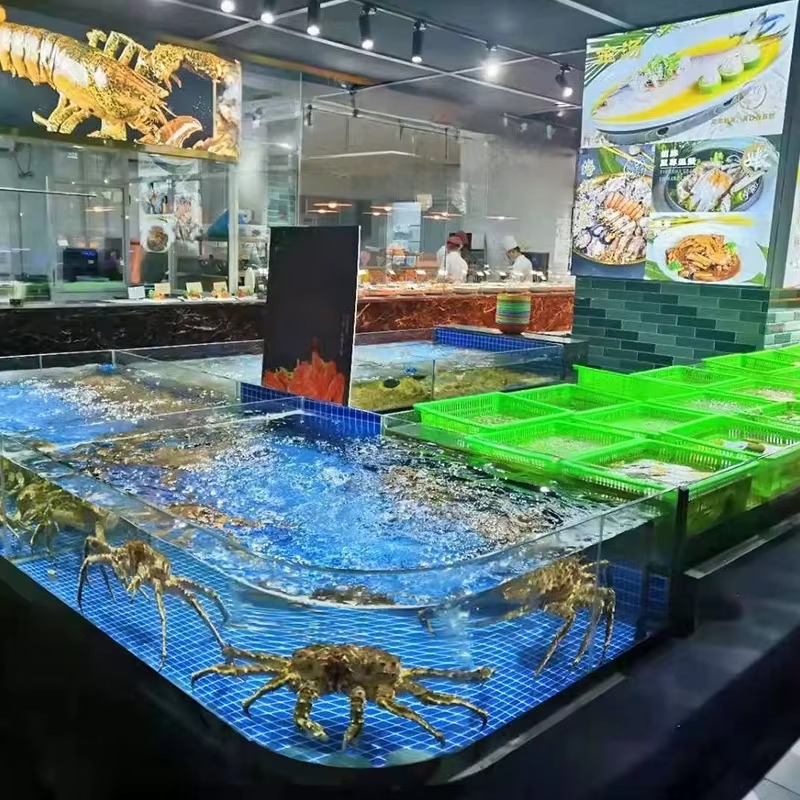 Acuario Cuadrado de Vidrio par - Marine Aquarium All In One reseña y precio