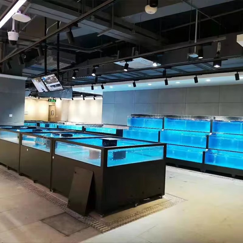 Acuario Cuadrado de Vidrio par - Marine Aquarium All In One reseña y precio