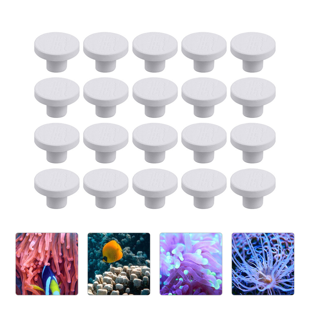 Base de Cerámica SPS para Frag - Aquarium Marine Rock reseña y precio