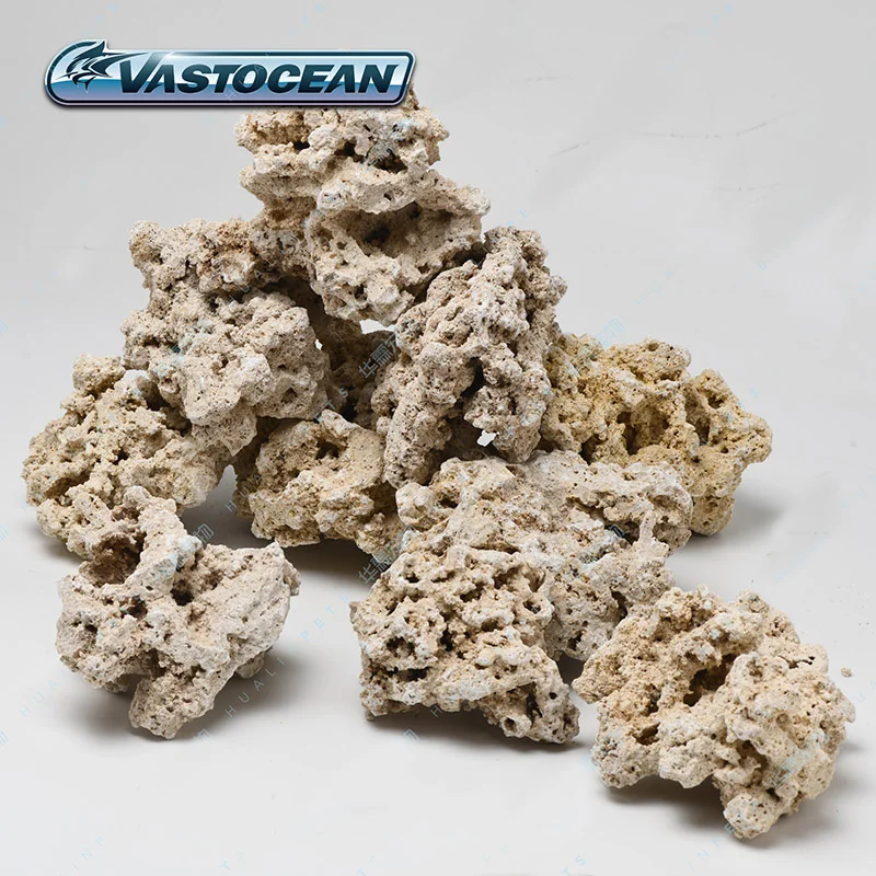 Vastapean-piedra de roca seca  - Aquarium Marine Rock reseña y precio
