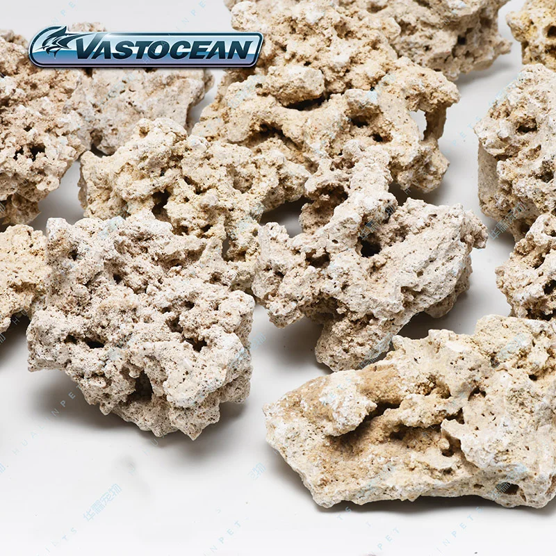 Vastapean-piedra de roca seca  - Aquarium Marine Rock reseña y precio