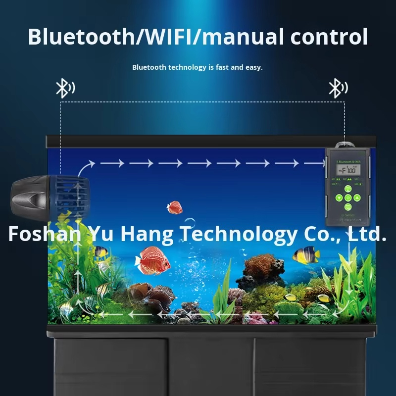 Suministro directo de fábrica, - Marine Aquarium Tank For Sale reseña y precio