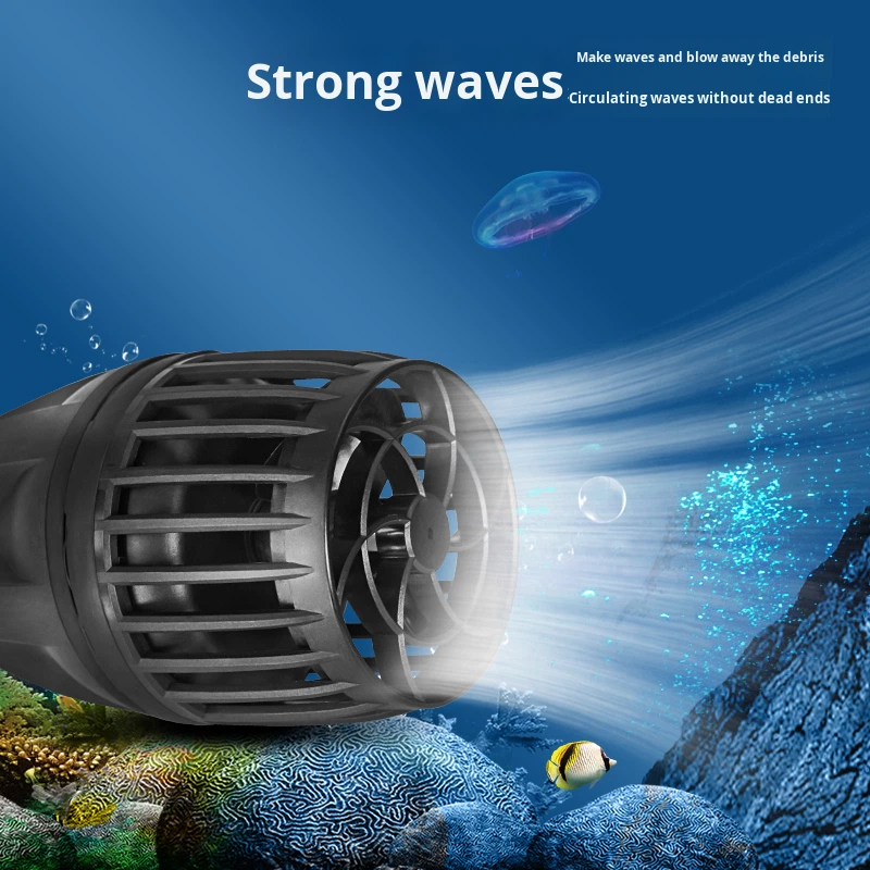 Suministro directo de fábrica, - Marine Aquarium Tank For Sale reseña y precio