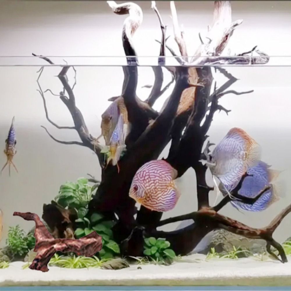Tronco de Madera Natural de Co - Aquarium Marine Rock reseña y precio