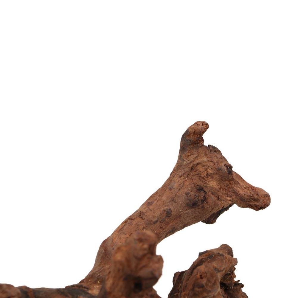 Tronco de Madera Natural de Co - Aquarium Marine Rock reseña y precio
