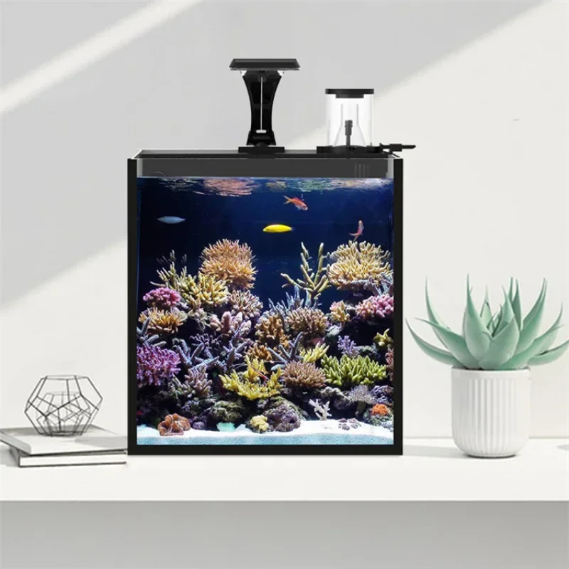 Acuario Marino de Agua Salada  - Marine Aquarium Tank For Sale reseña y precio