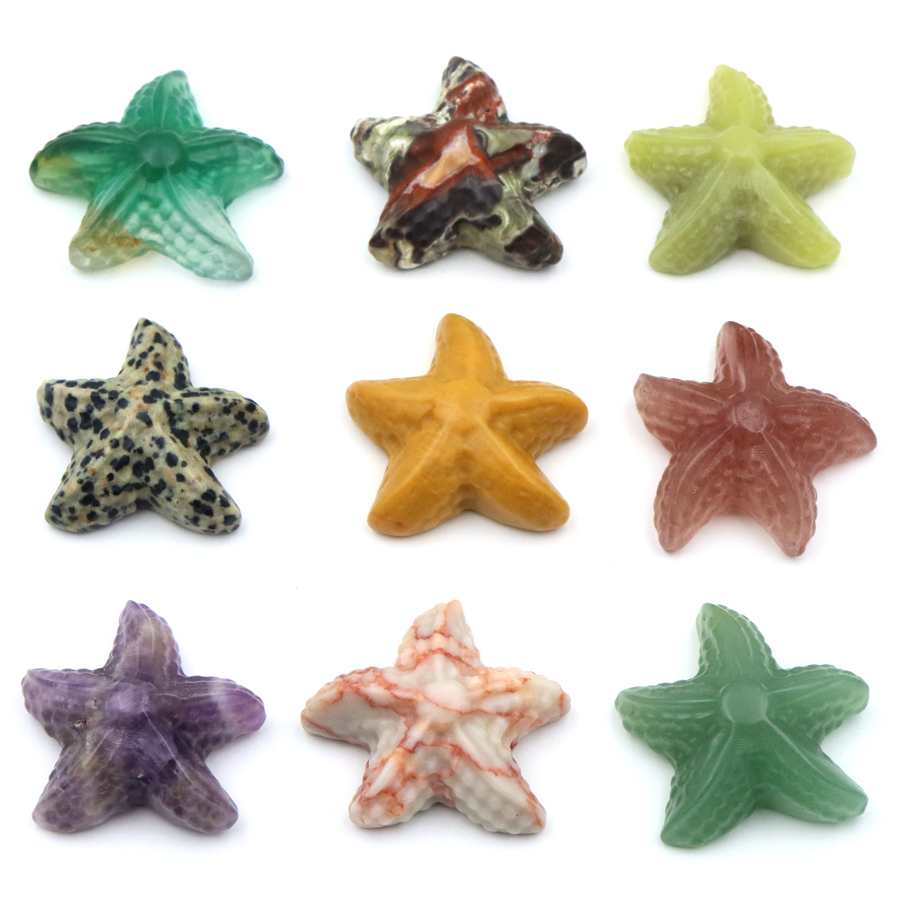 Estatua con forma de estrella  - Marine Aquarium & Regional Centre Reviews reseña y precio