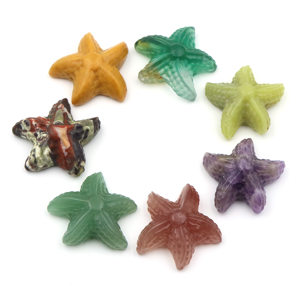 Estatua con forma de estrella  - Marine Aquarium & Regional Centre Reviews reseña y precio