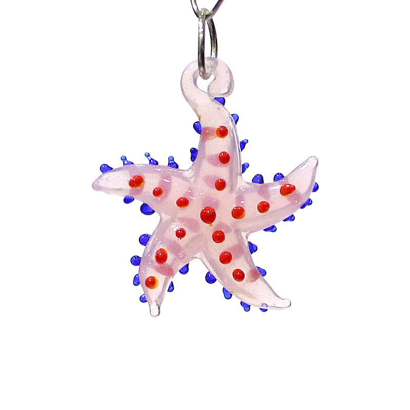 Lindo animal marino estrella d - Marine Aquarium & Regional Centre Reviews reseña y precio